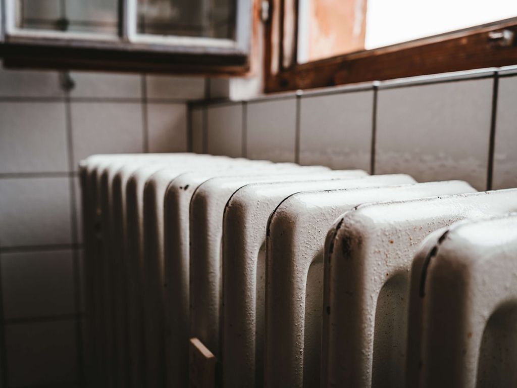 photo-1599028274511-e02aresize.jpg.optimal.jpg