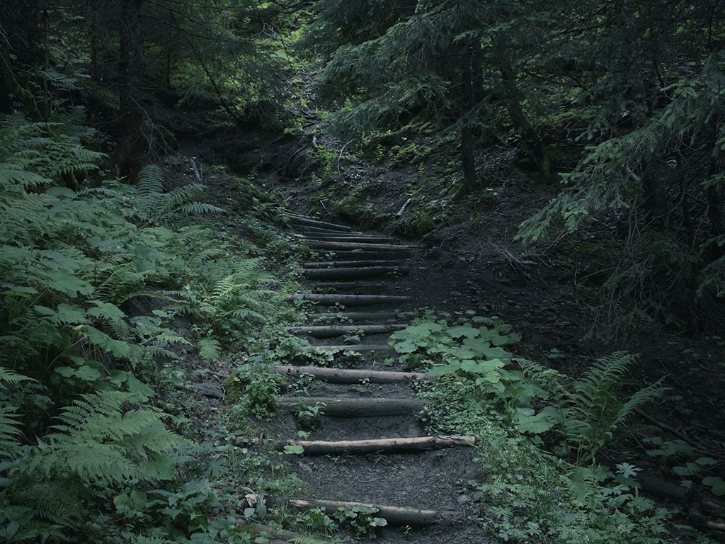 resizejk-park-PfIPWnVAwJU-unsplash.jpg.optimal.jpg