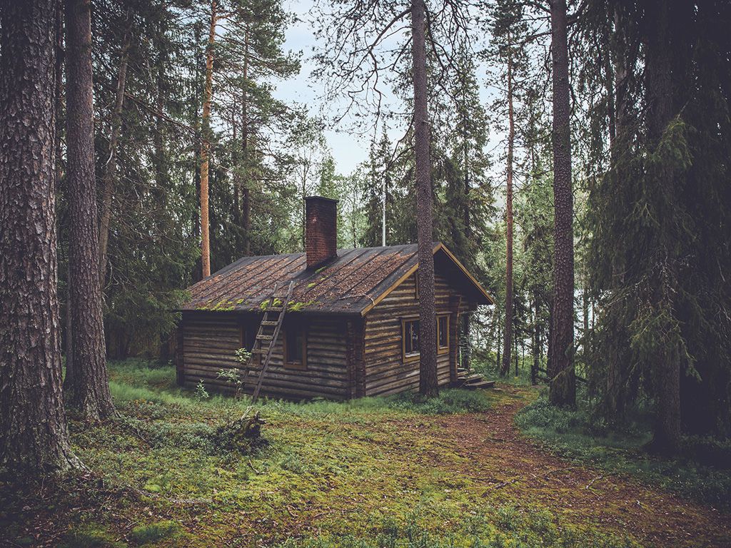 resizeolivier-guillard-FKJgBUDoVC0-unsplash.jpg.optimal.jpg