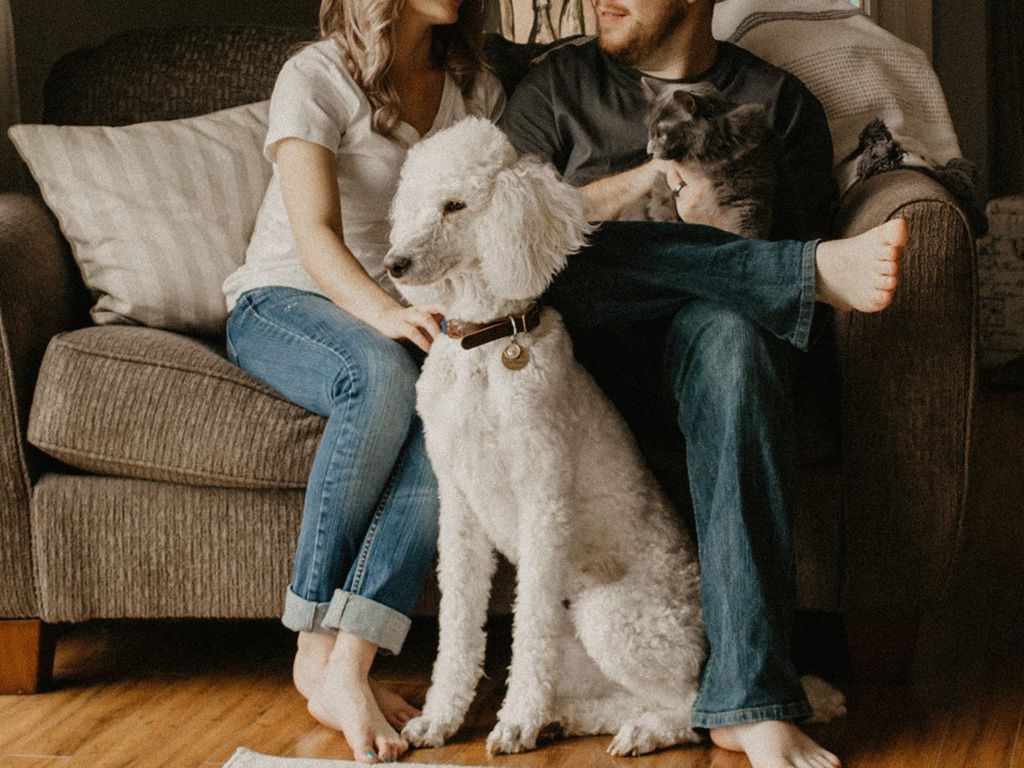 resizesarandy-westfall-itLKdE7ojA-unsplash-1536x1024-1.jpg.optimal.jpg