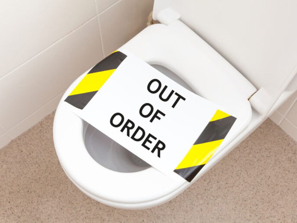 resizeshutterstock_1729093075-768x512-1.jpg.optimal.jpg