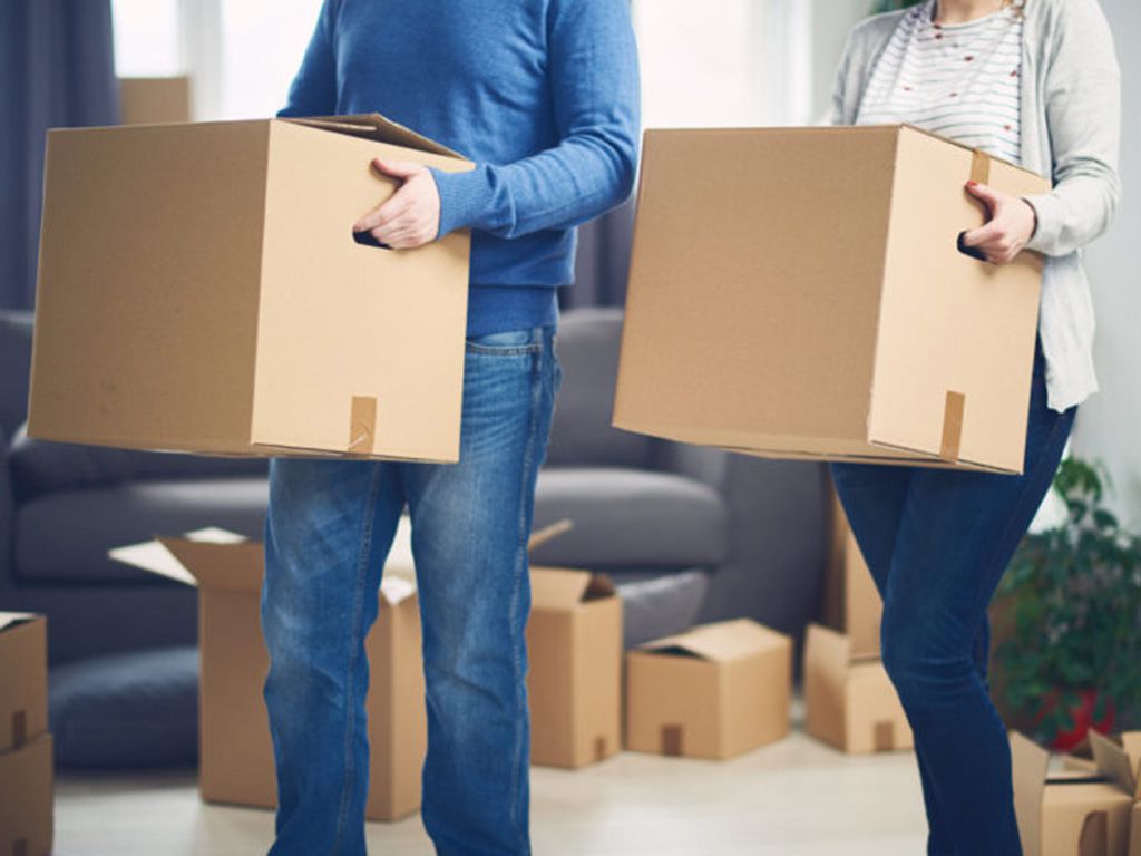 resizeshutterstock_567850450-768x512-1.jpg.optimal.jpg