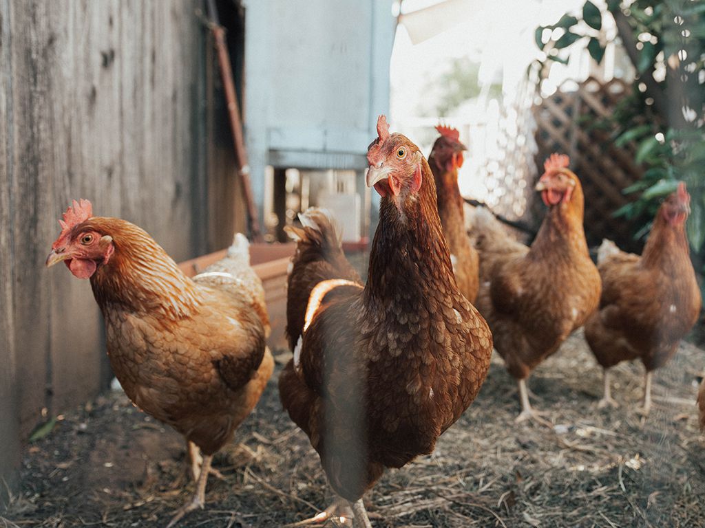 resizewilliam-moreland-8wWpDF4Av-Y-unsplash.jpg.optimal.jpg