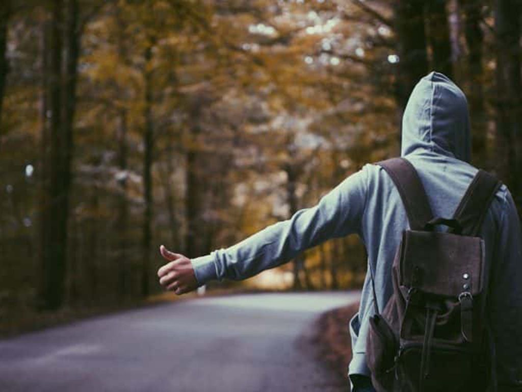 resizeHitchhiker_in_a_forest-768x512-1.jpg.optimal.jpg