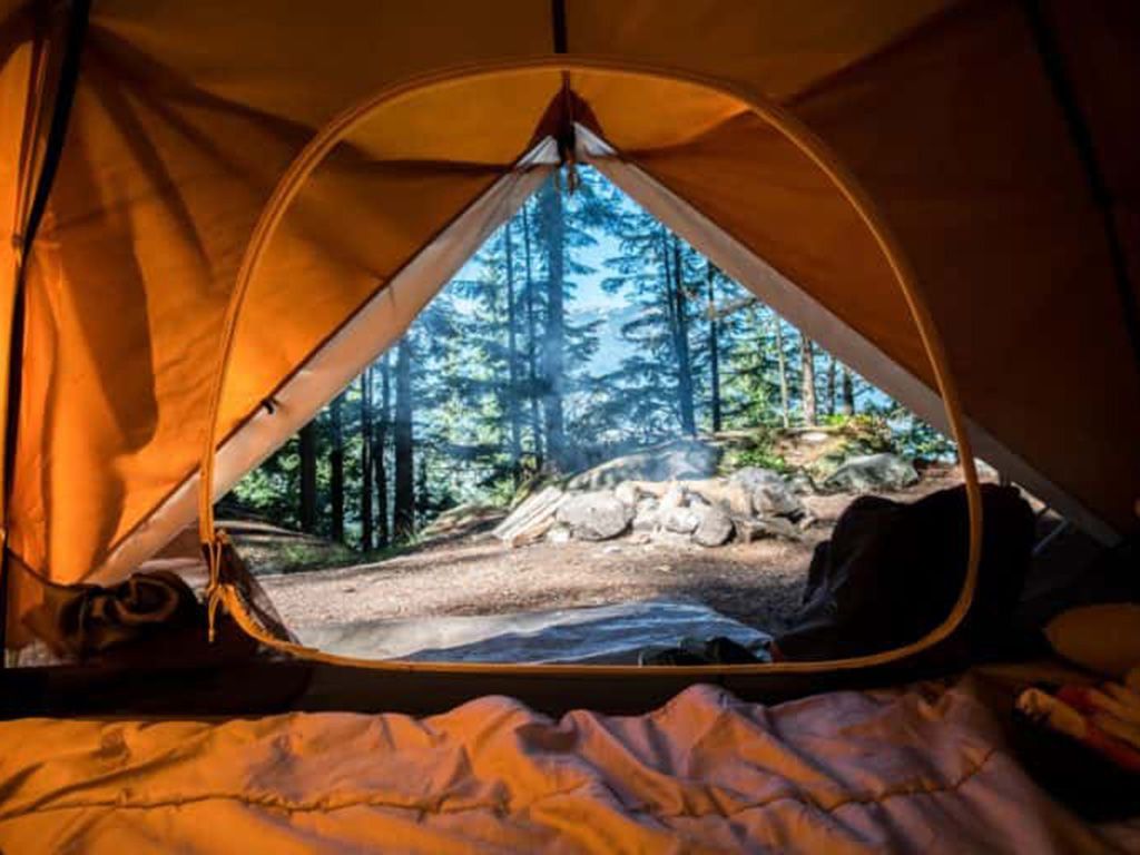 resizescott-goodwill-y8Ngwq34_Ak-unsplash-768x512-1.jpg.optimal.jpg