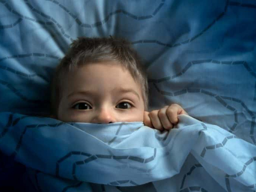resizeshutterstock_1388937995-768x512-1.jpg.optimal.jpg