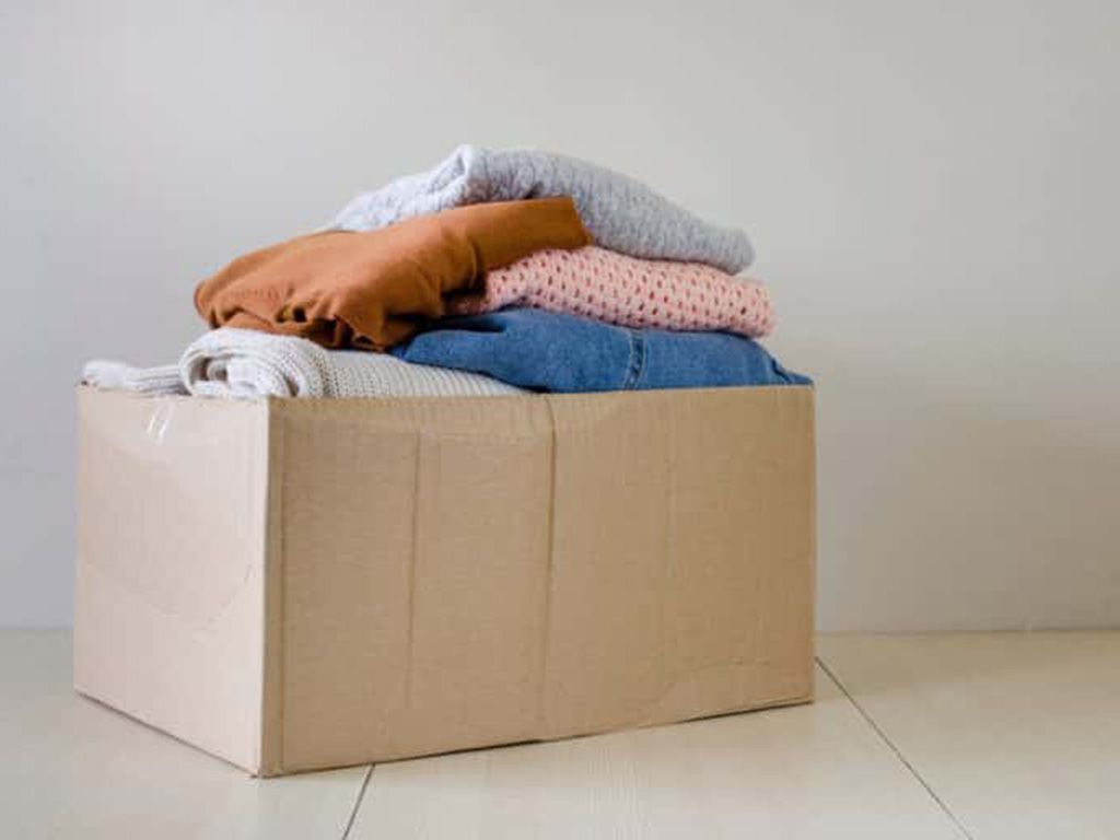 resizeshutterstock_1443854519-768x512-1.jpg.optimal.jpg