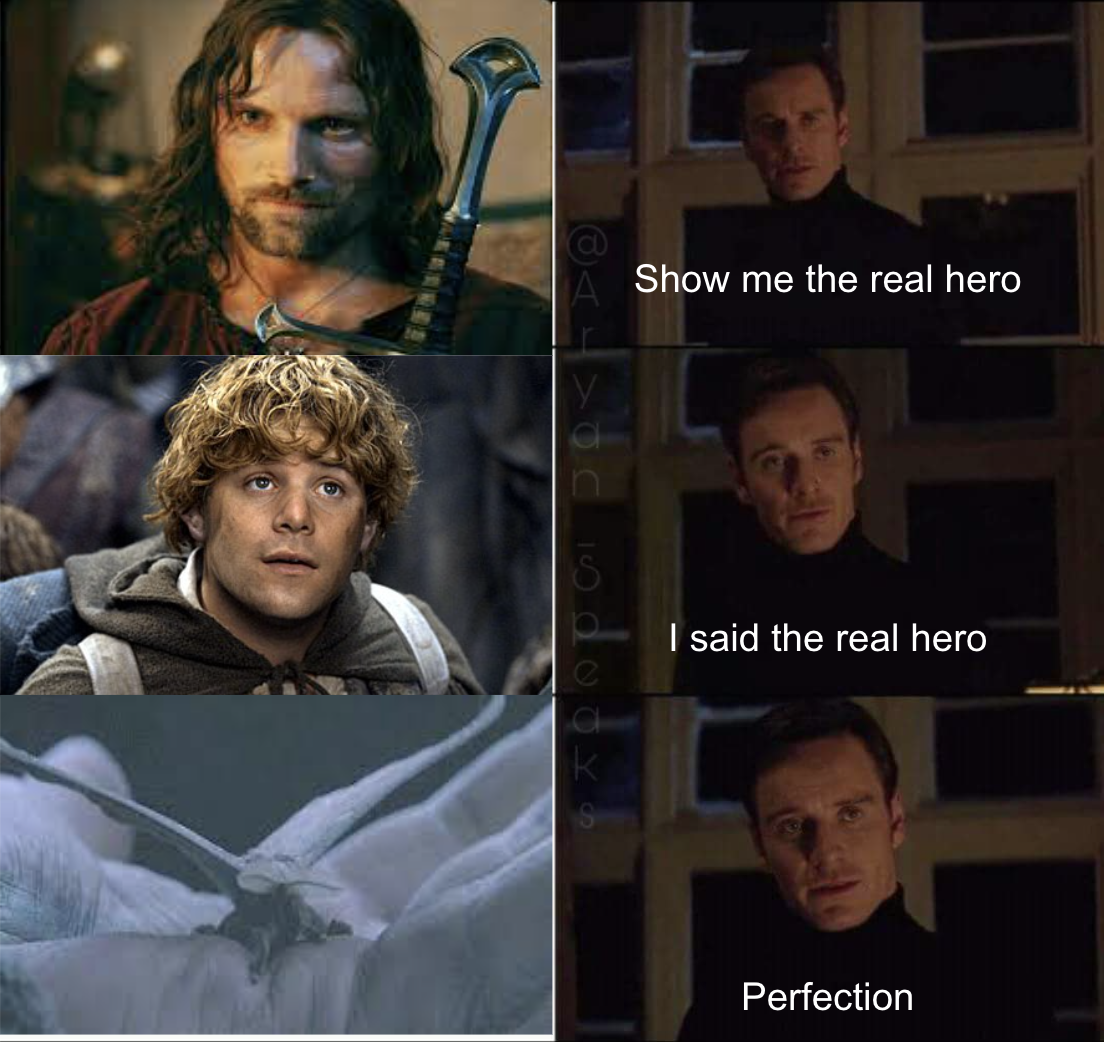 show-me-the-real-hero-of-lotr-v0-42k6q2vmpjxb1.png