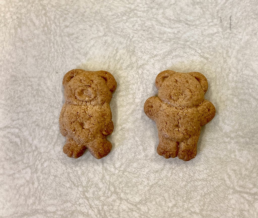 Teddycookiehoney