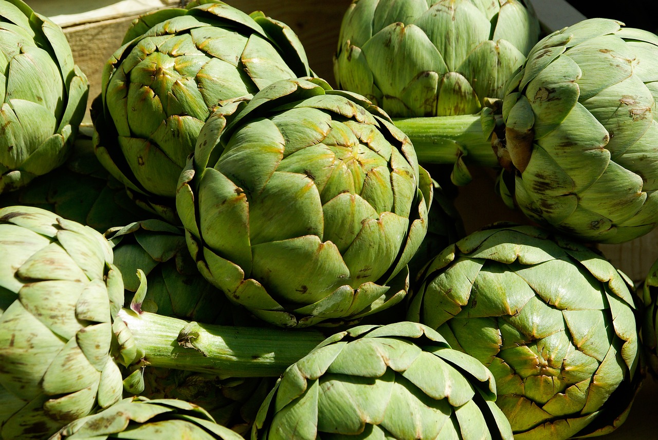 artichokes-759753_1280.jpg