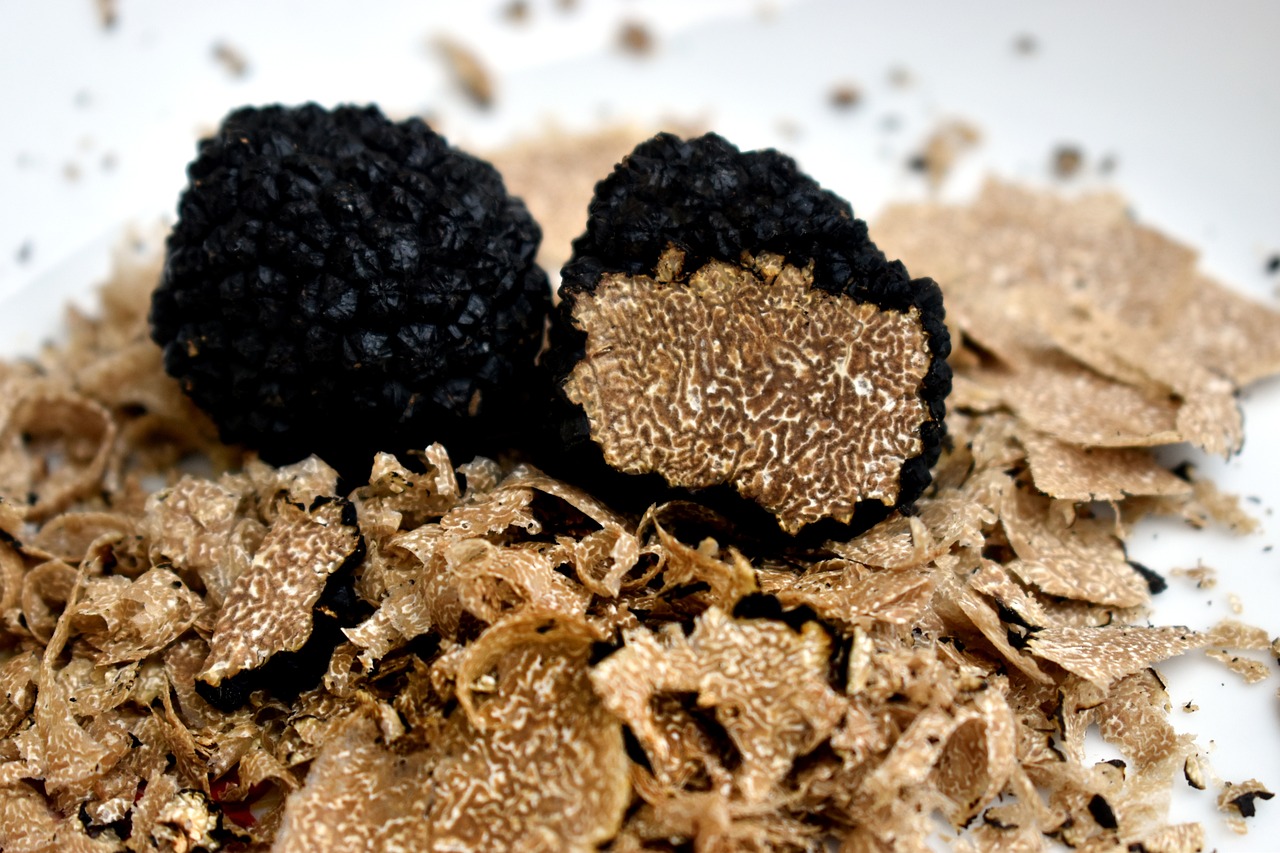 truffles-4539078_1280.jpg