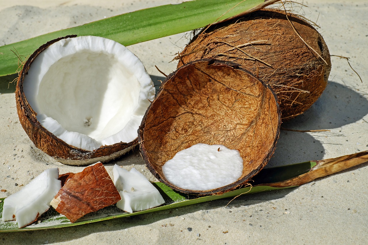 coconut-2637727_1280.jpg