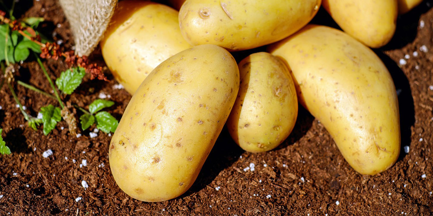 Potatoes