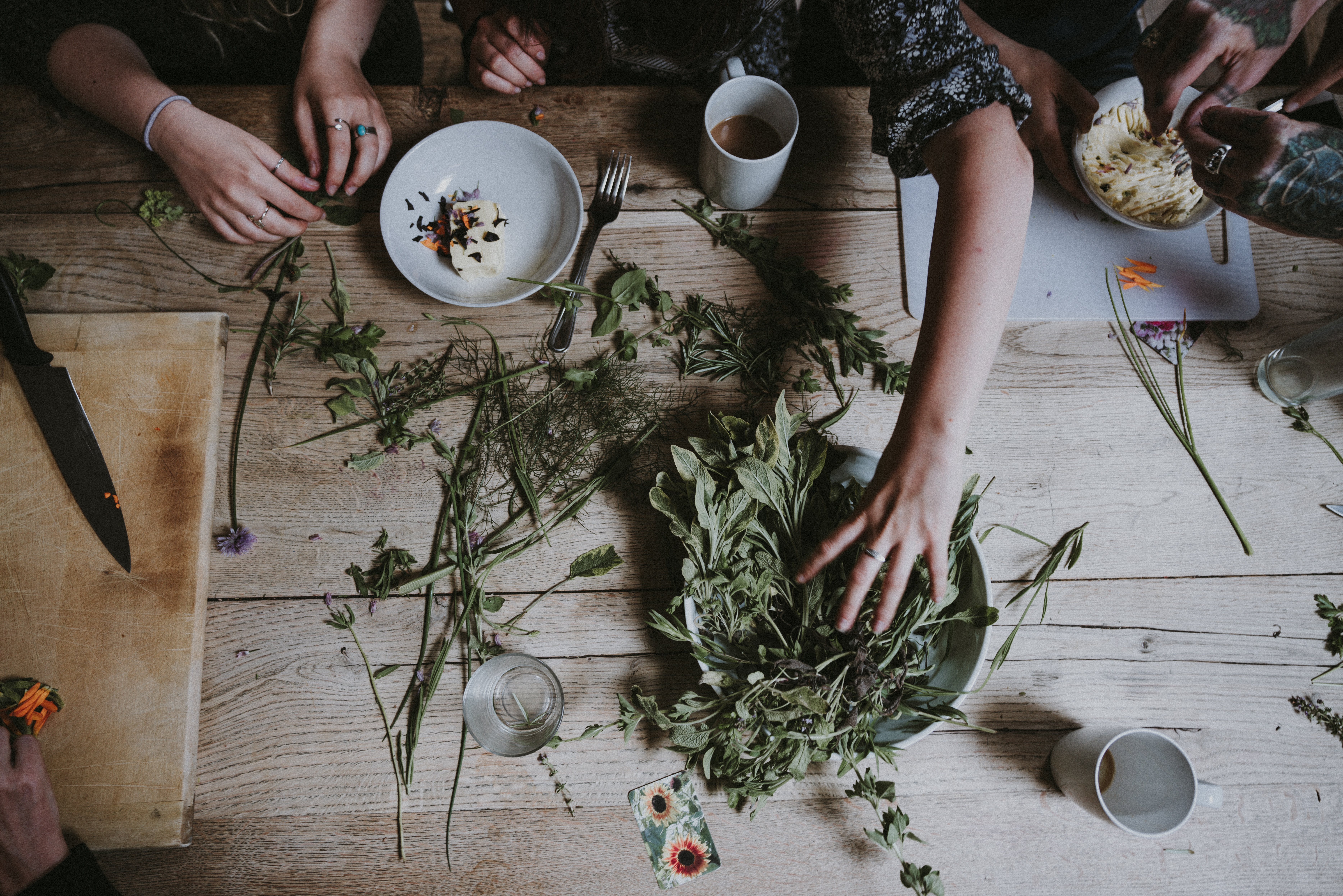 Annie-Spratt-Jlpdkdcucei-Unsplash