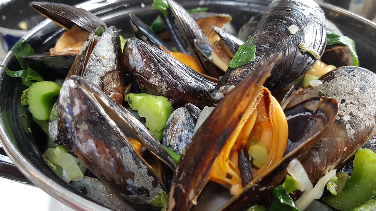 mussels-4375642_1280.jpg