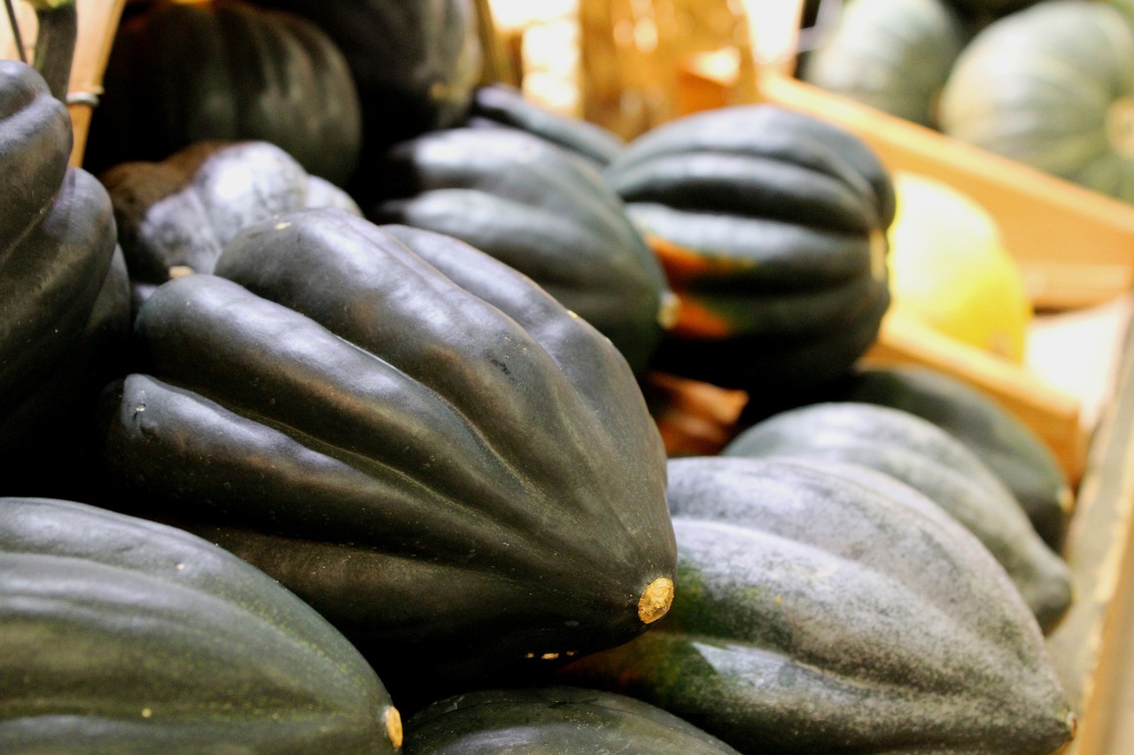 acorn-squash-938936_1280.jpg