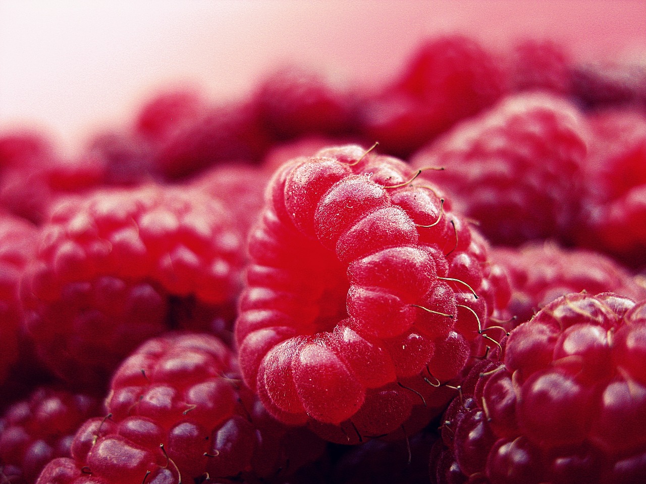 raspberry-427390_1280.jpg