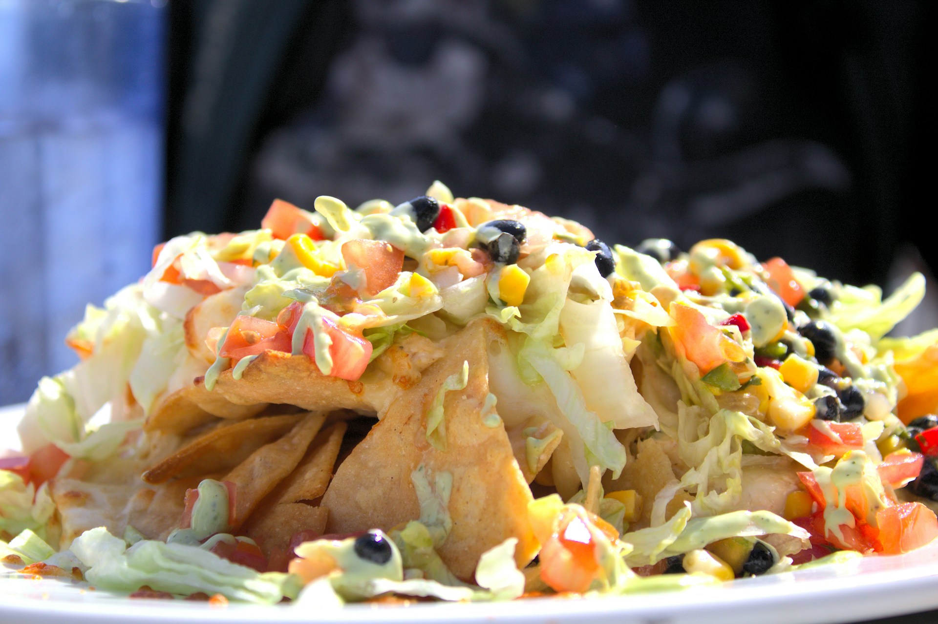 Doris-Morgan-Qil7Mxko1Fy-Unsplash