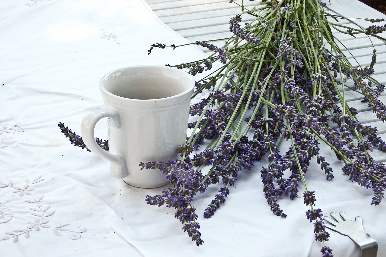 lavender-1636567_1280.jpg