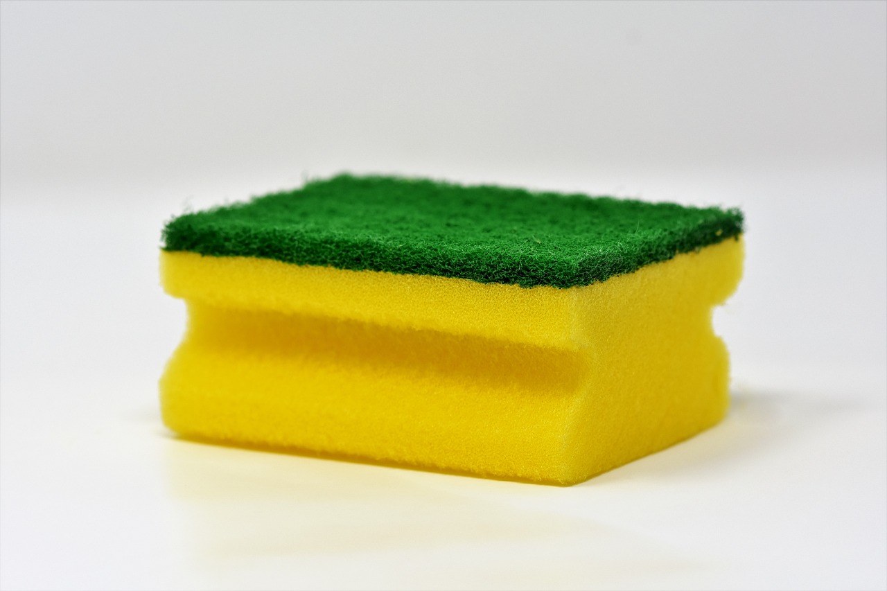 sponge-3081410_1280.jpg