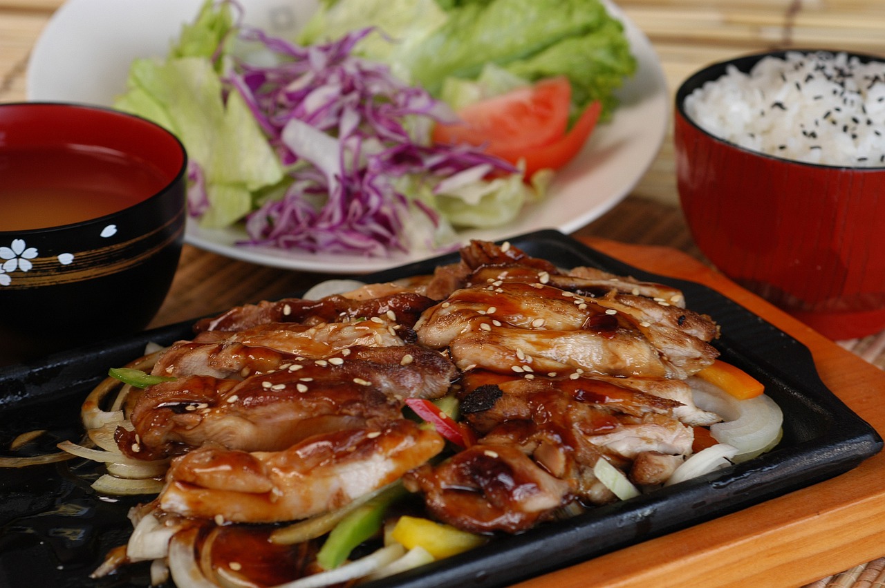 teriyaki-chicken-3765240_1280.jpg