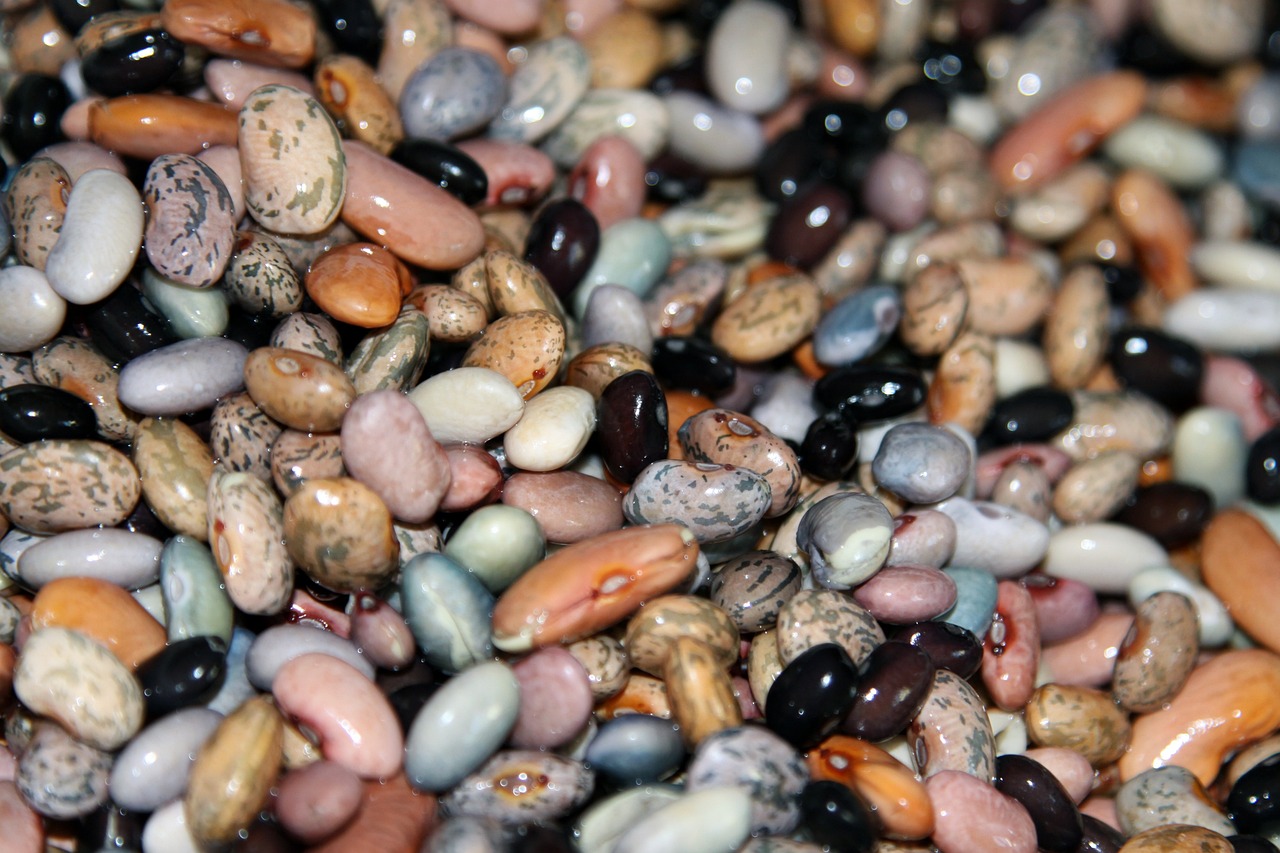 beans-665055_1280.jpg