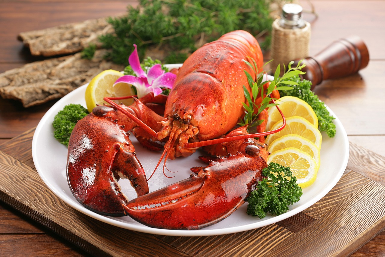 lobster-4952603_1280.jpg