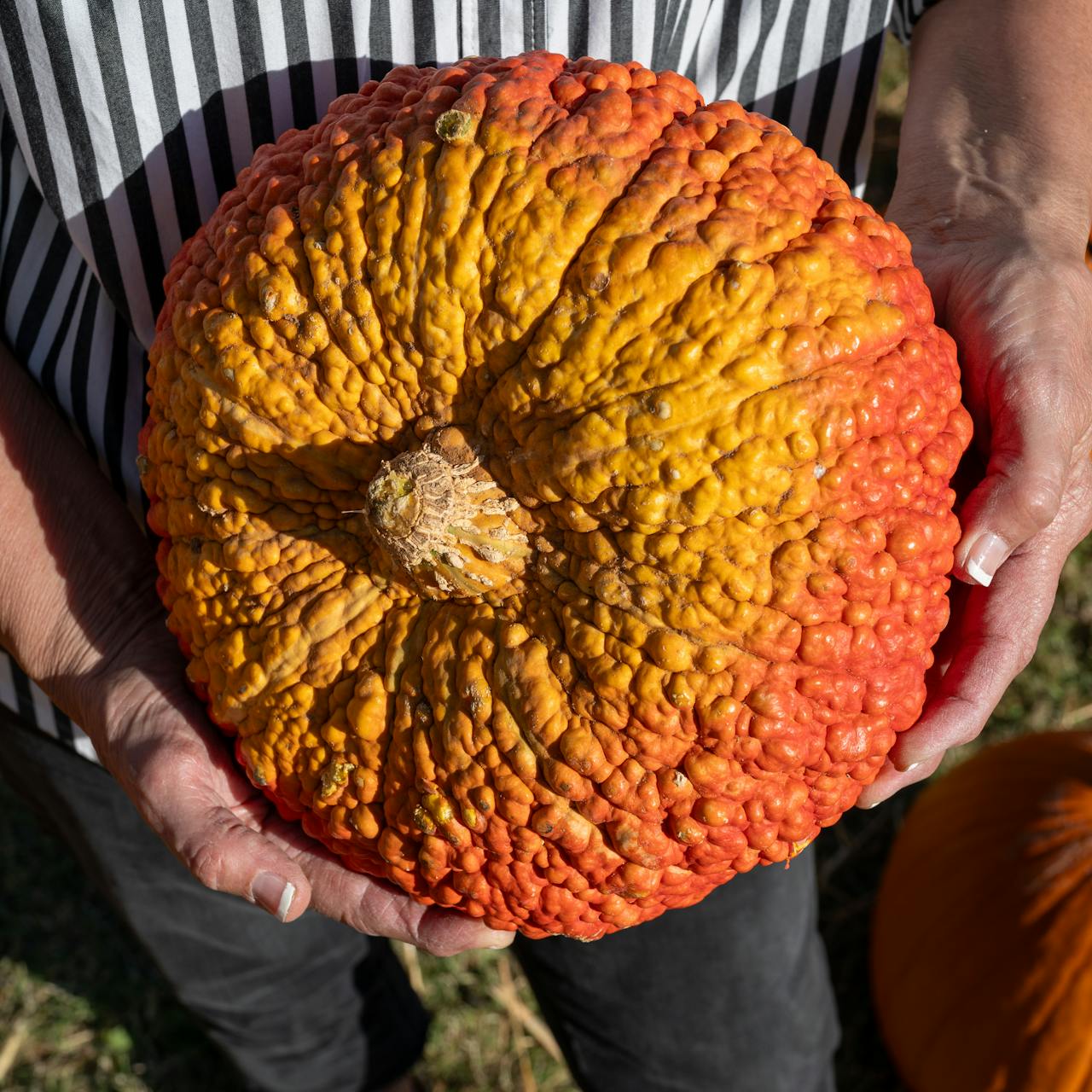 Pexels-Benjamin-White-3547408-28935822