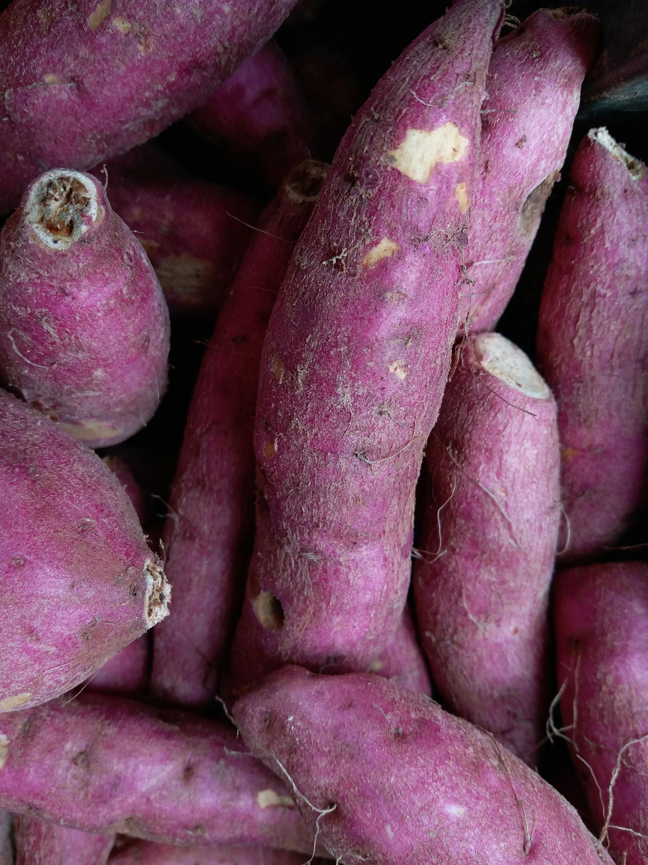 Pexels-Panduru-10652342