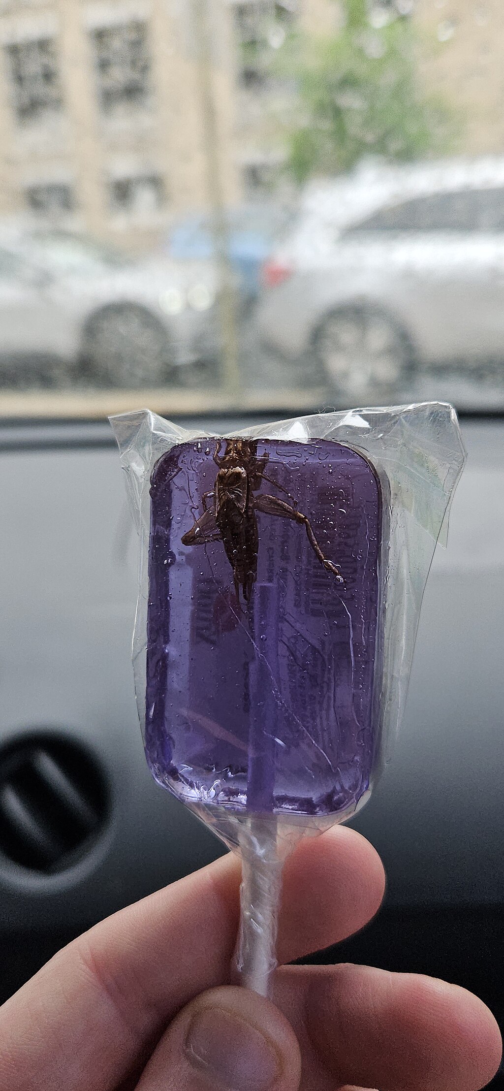 1024Px-Cricket Lollipop From The Franklin Institute