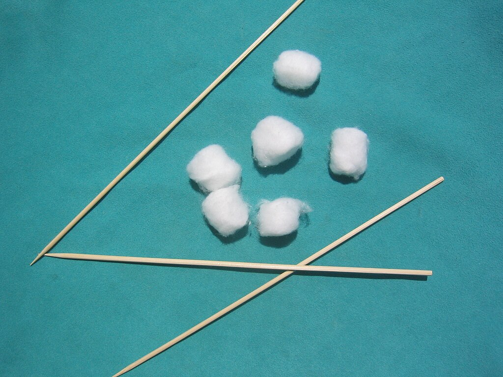 1024Px-Three Bamboo Skews Six Cottonballs One Screencleaning Chamois(Used But Not Moist)