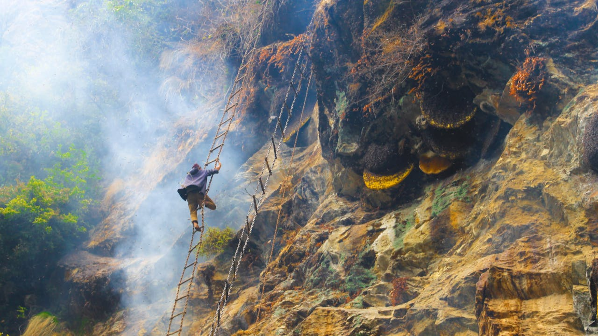 Copy Of For Couples With Children, This Option Lets The Whole Family Get In On The Halloween Fun. Don Your Latex Superhero Suits And Pack The Kids For A Night Of Trick Or Treating And Fighting Cri (39)