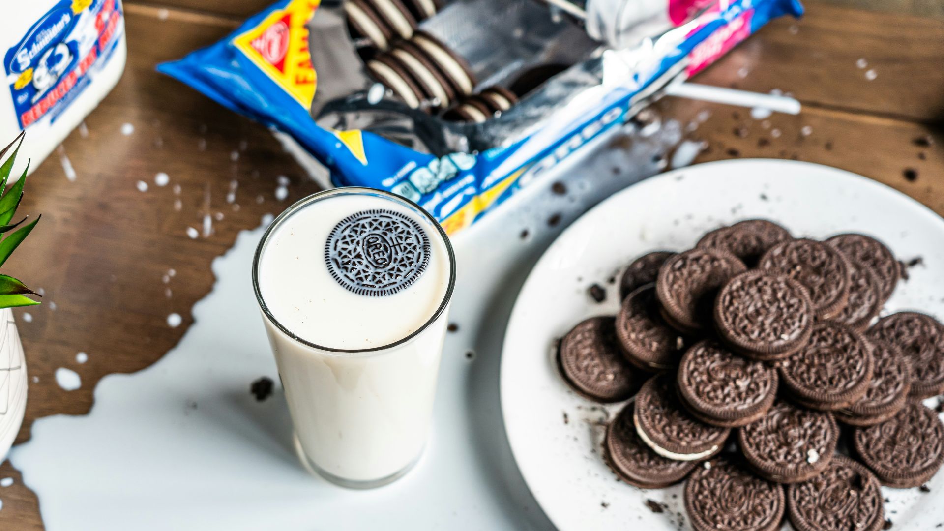 brown cookies on white ceramic plate