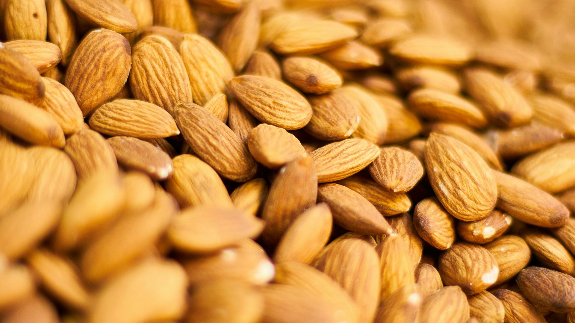 brown coffee beans in close up photography