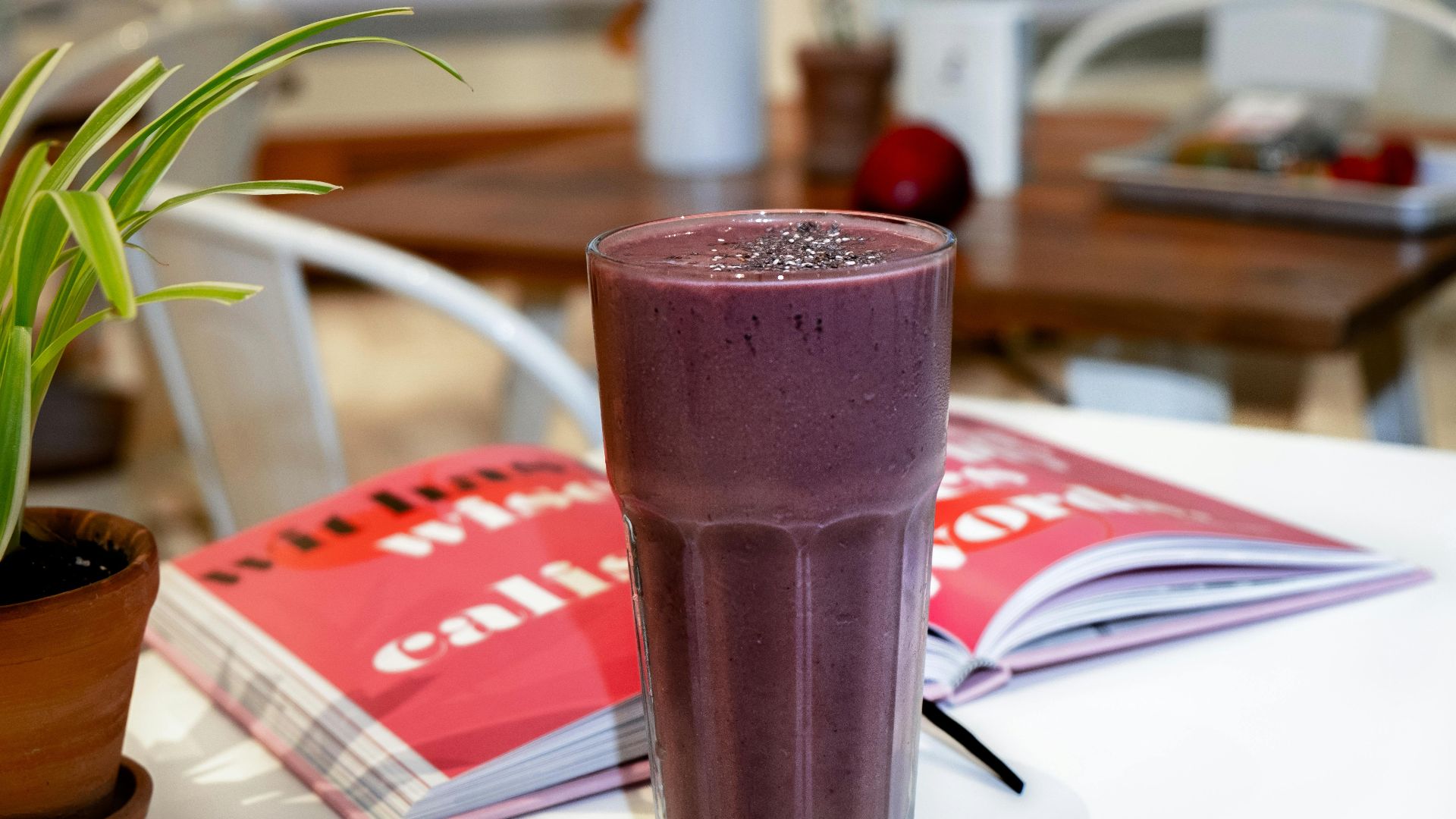 The Lazy Artist Gallery