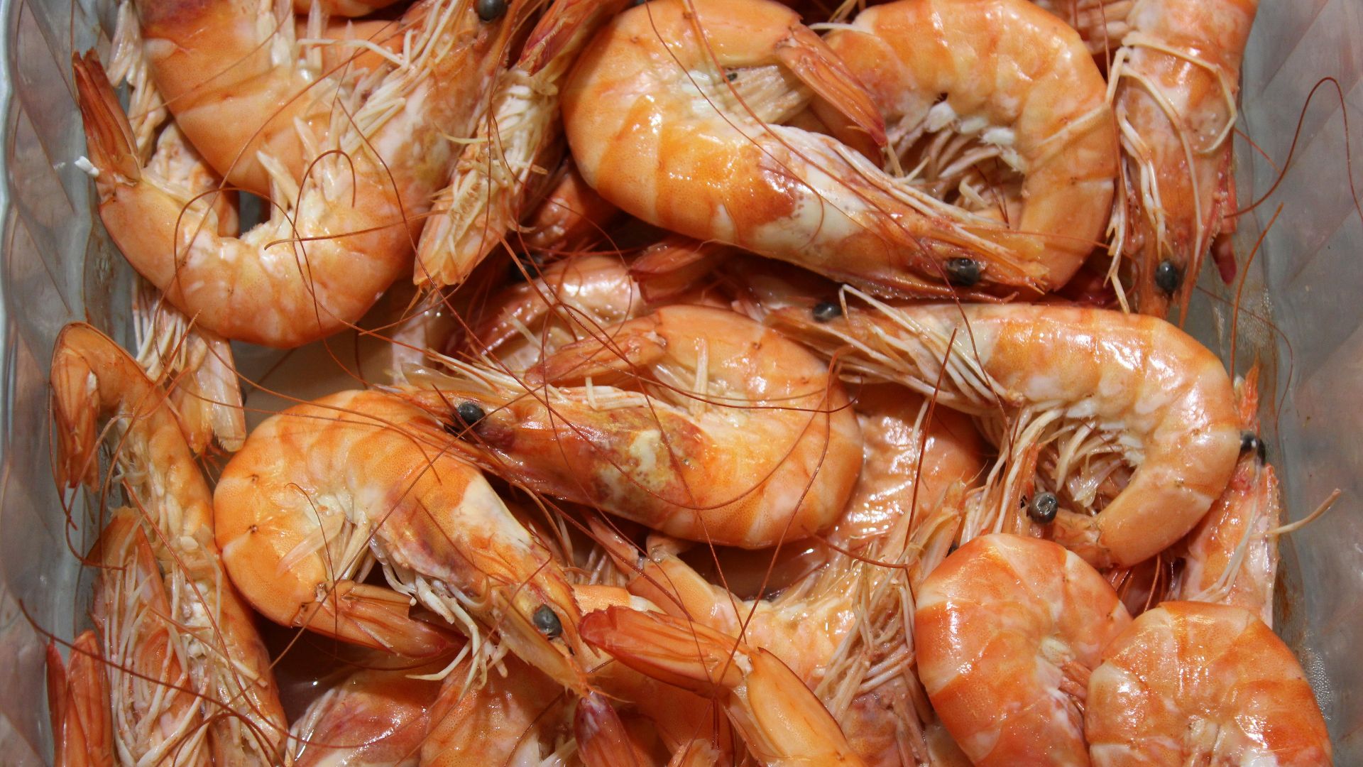 a plastic container filled with lots of shrimp