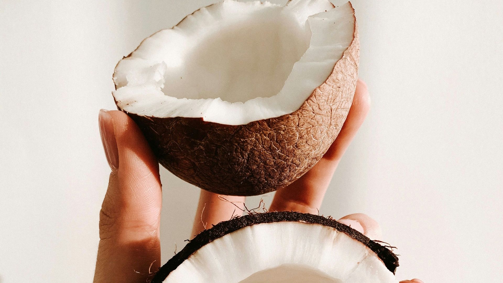 person holding white and black round ornament