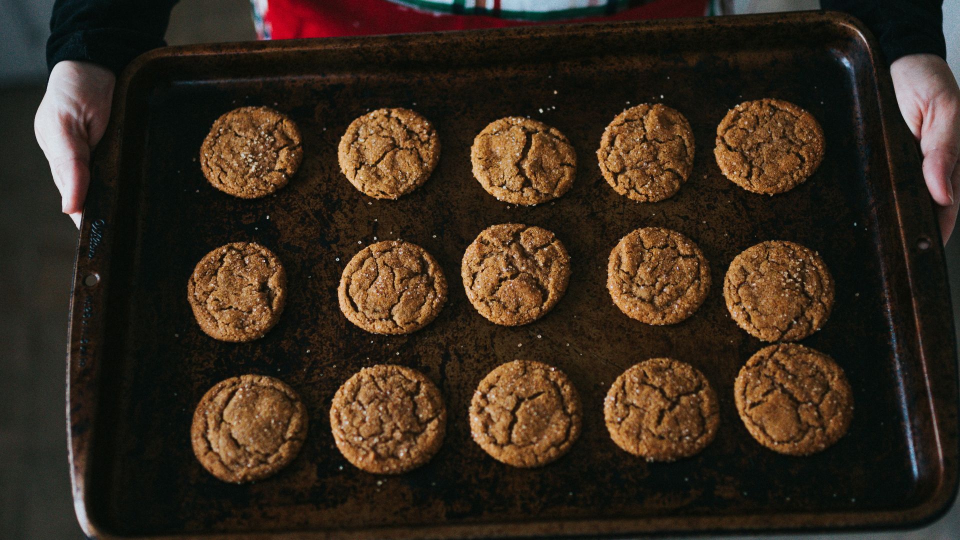 person holding black plastic tray