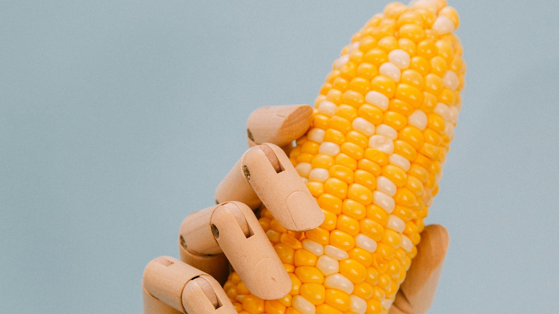 robot hand holding corn