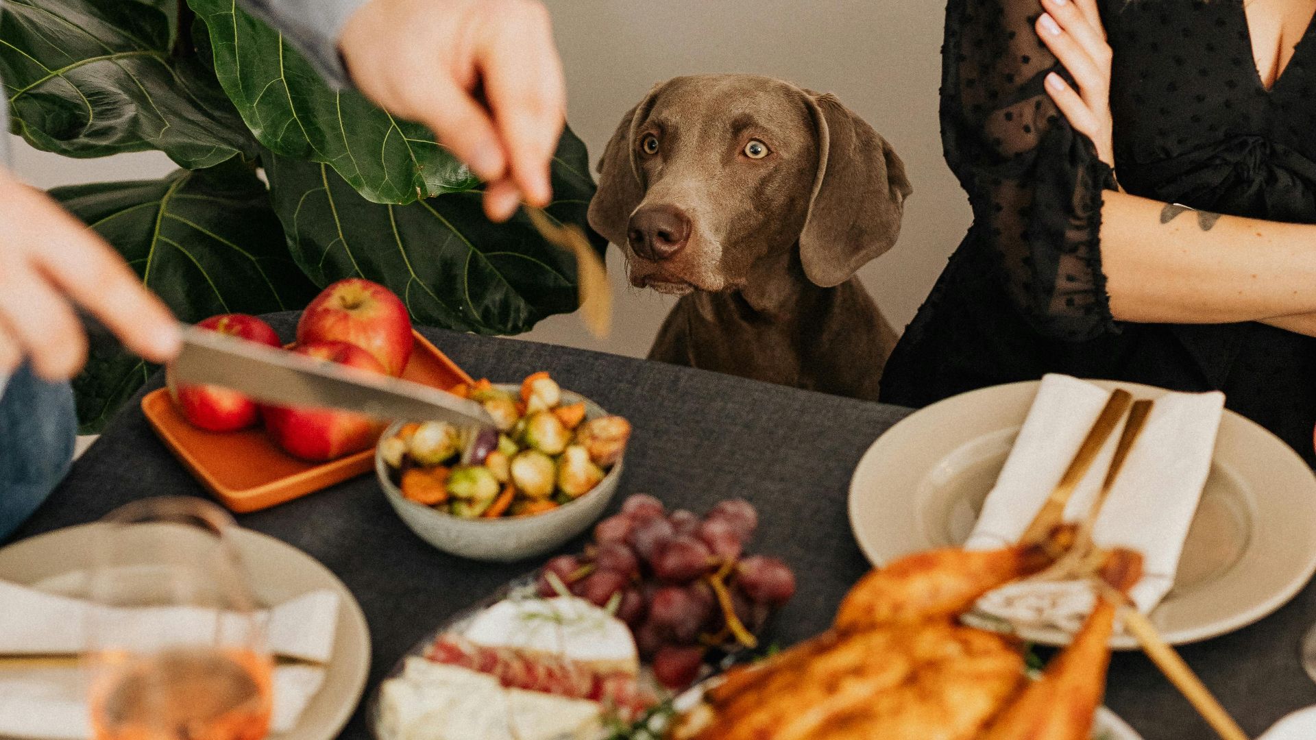 Photo By: Kaboompics.com