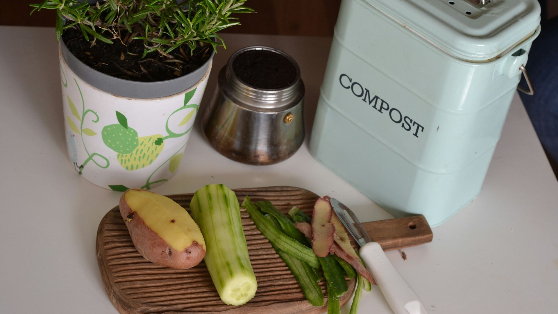 green plant on white and purple floral ceramic pot