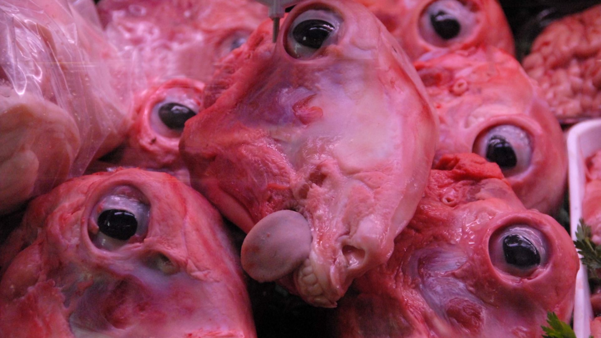 File:Leave the eyes in, they'll see us through the week …