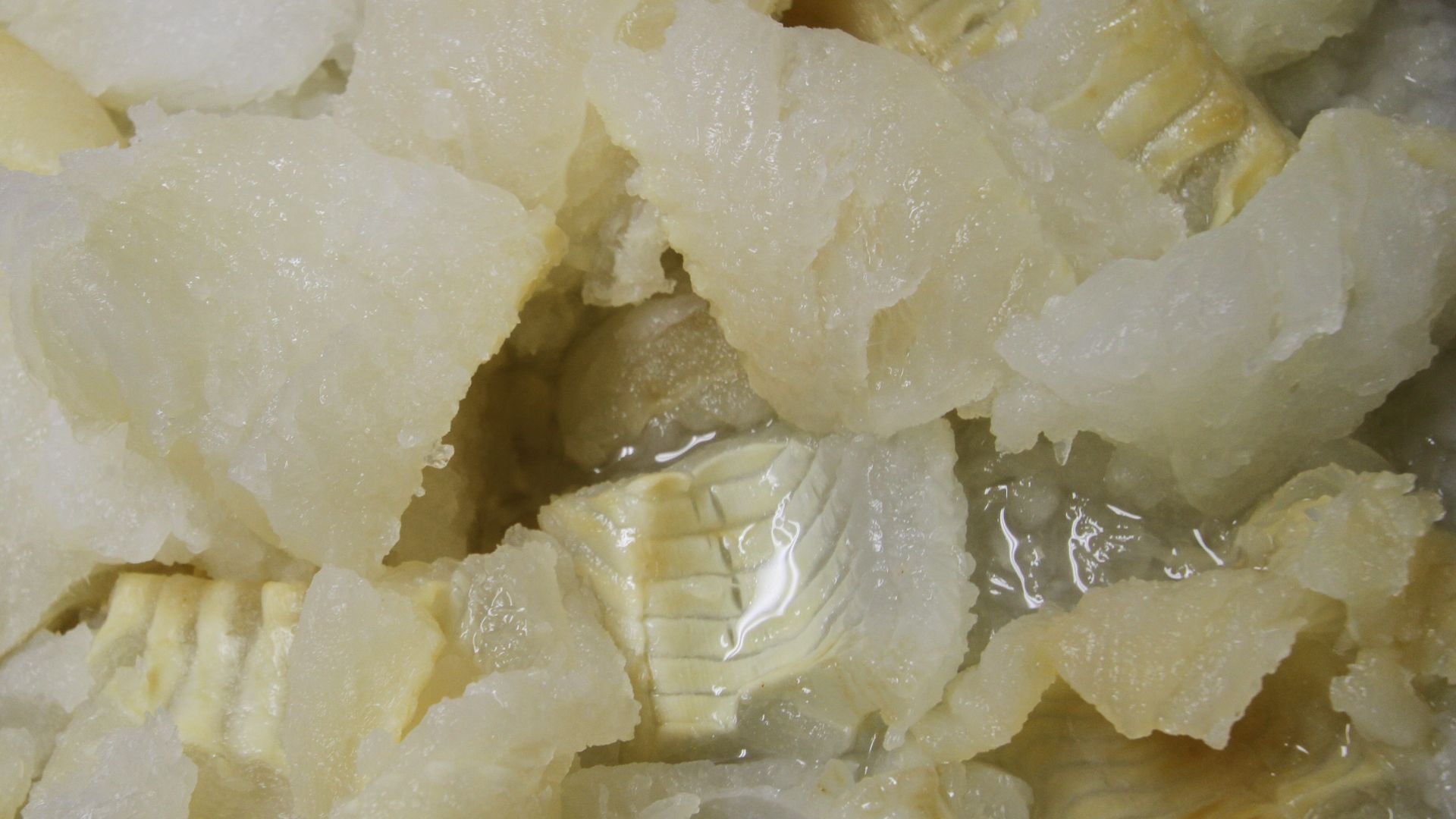 File:LandsLutheranLutefisk.jpg