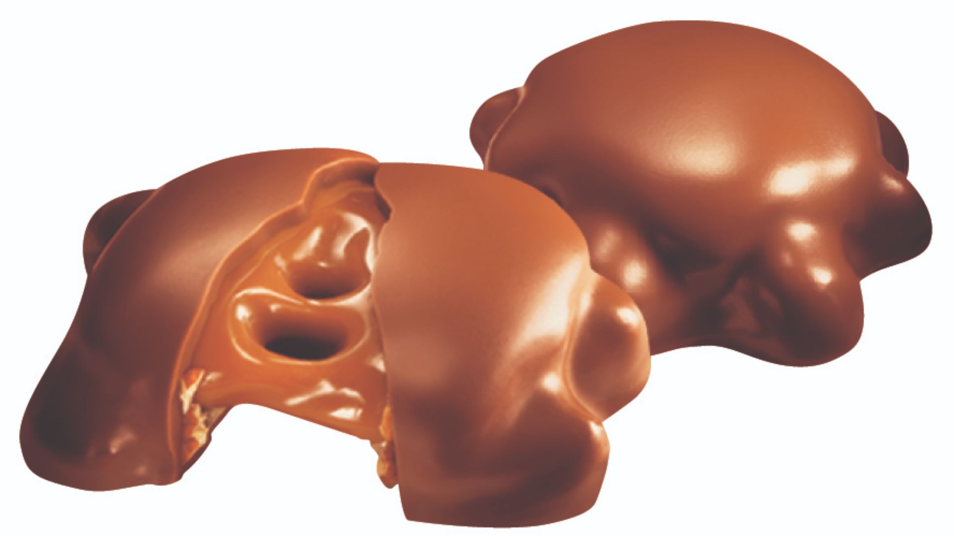 File:Turtles HERO SHOT.jpg