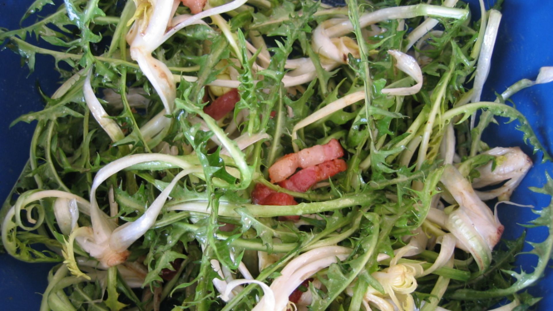 File:Salade de Pissenlit.jpg
