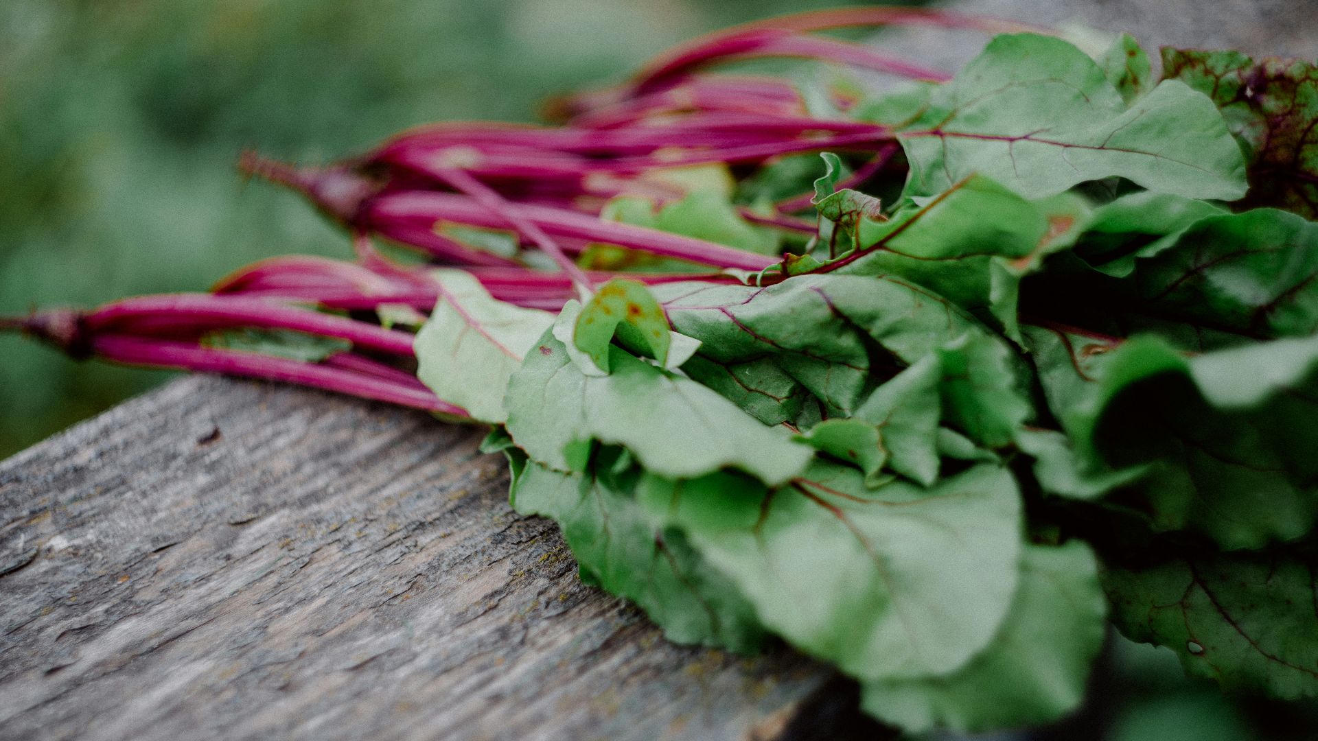green leaves on brown wooden surface