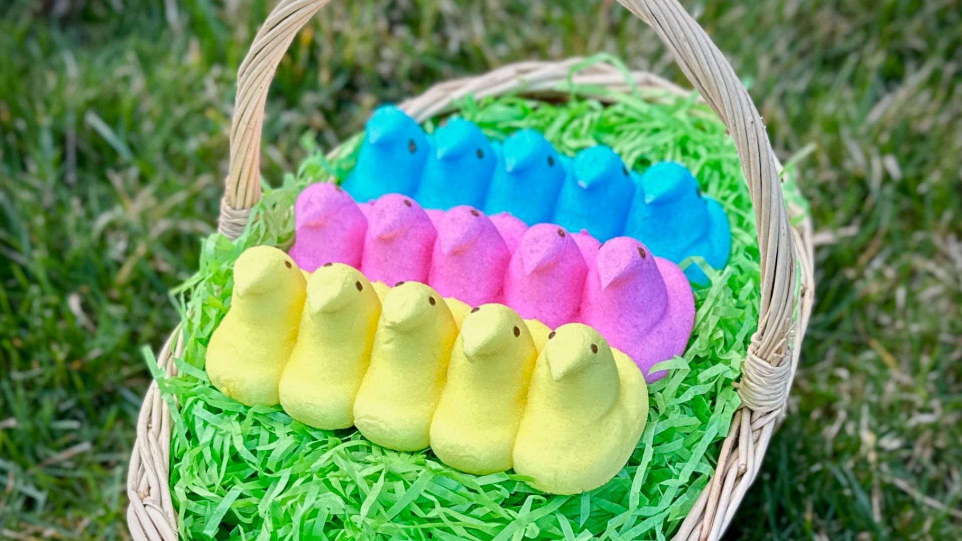 File:Just Born Peeps in an Easter Basket.jpg
