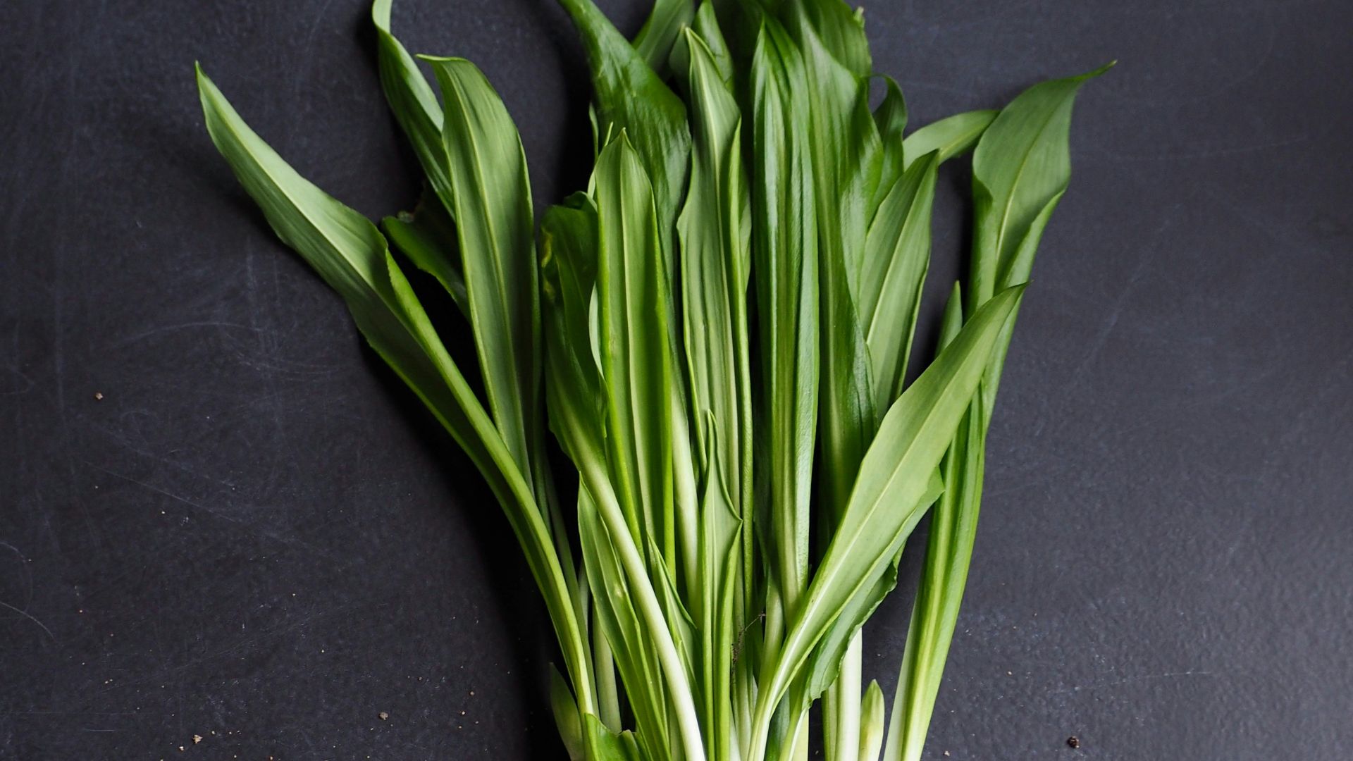 cluster of linear green leaf plants