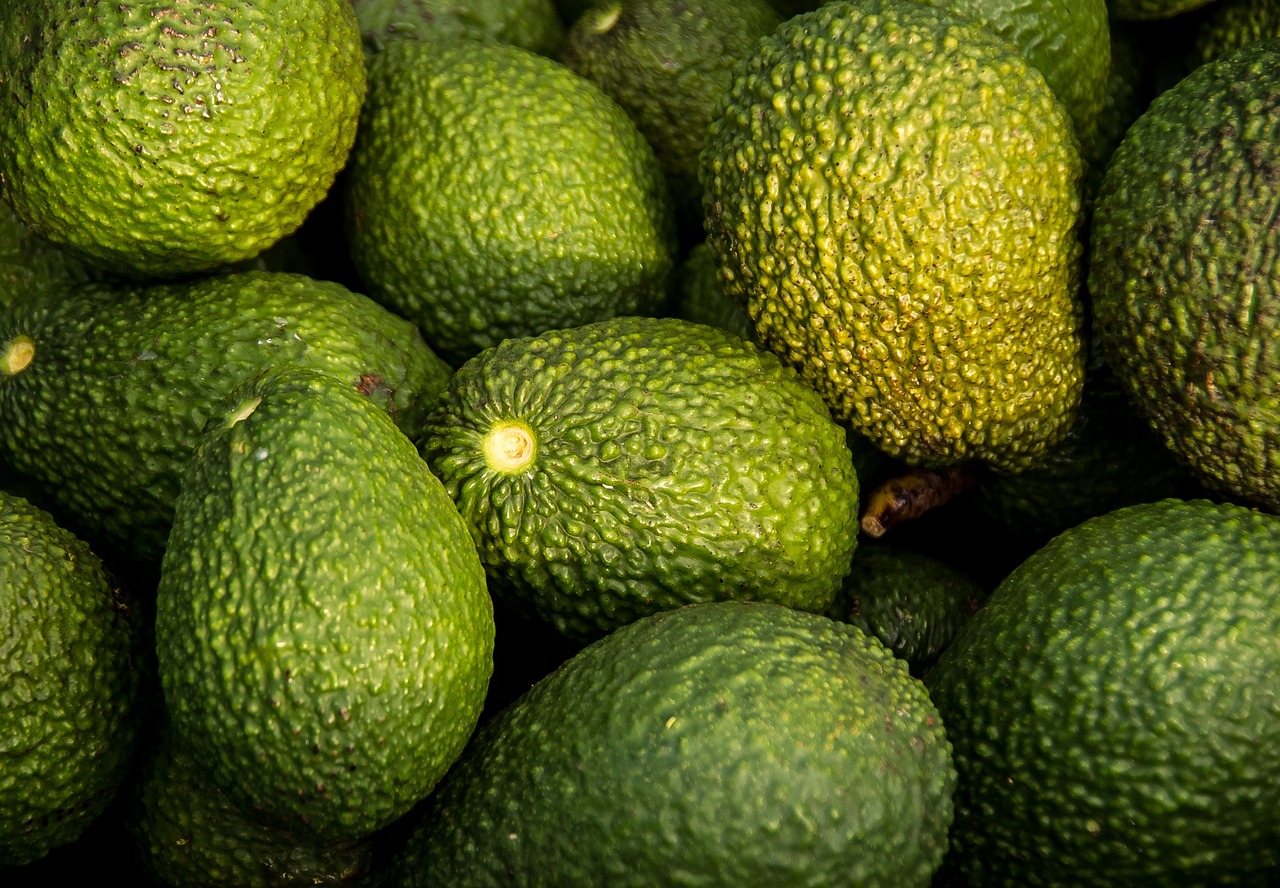 avocados-882635_1280.jpg