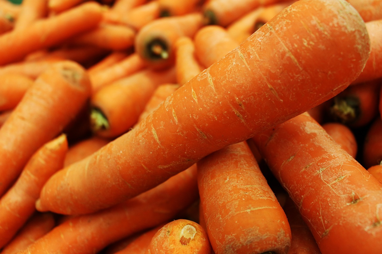 carrot-5334163_1280.jpg